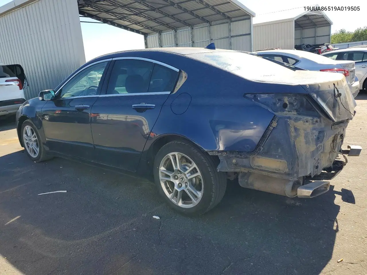 2009 Acura Tl VIN: 19UUA86519A019505 Lot: 61183606