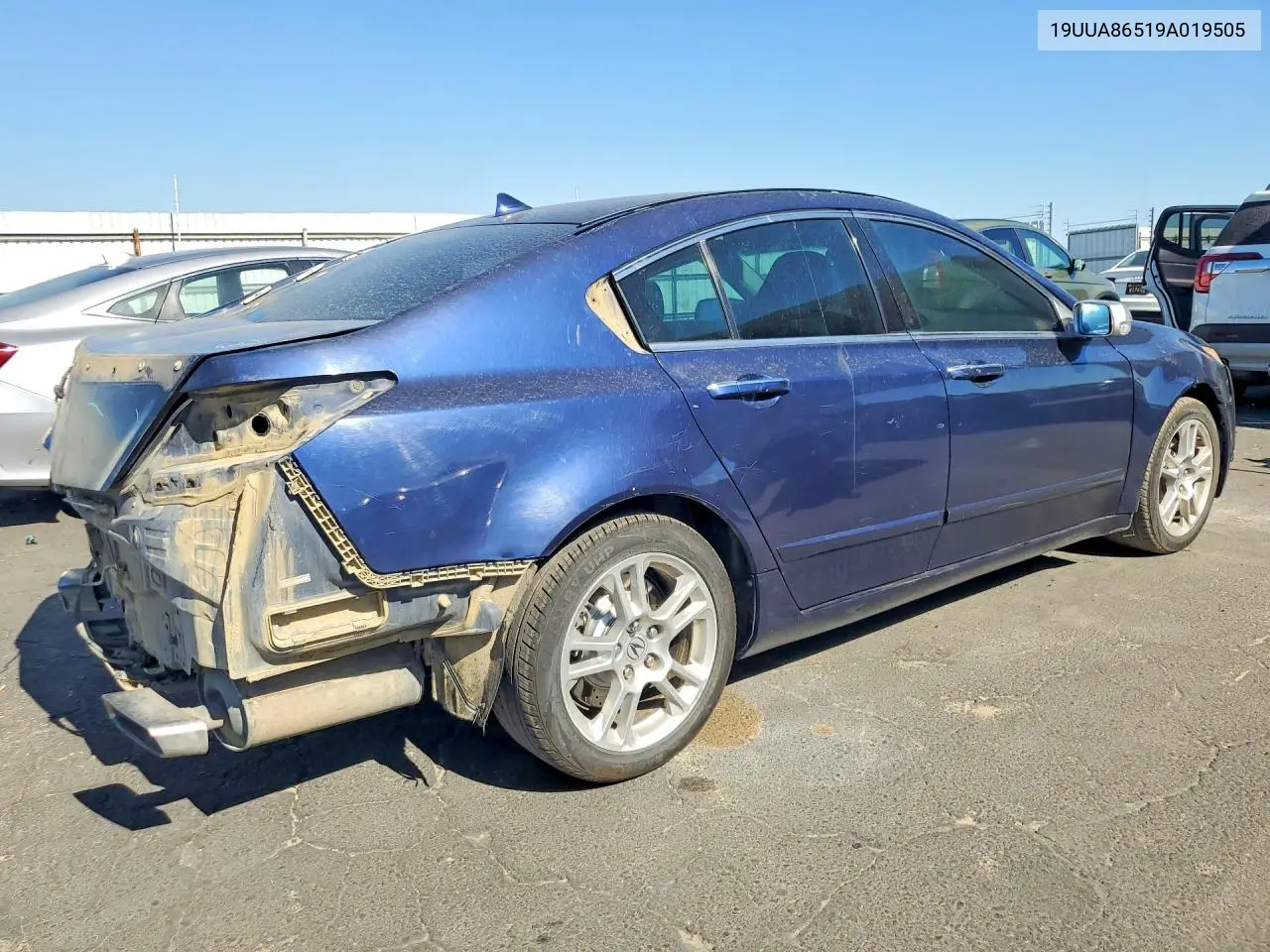 2009 Acura Tl VIN: 19UUA86519A019505 Lot: 61183606