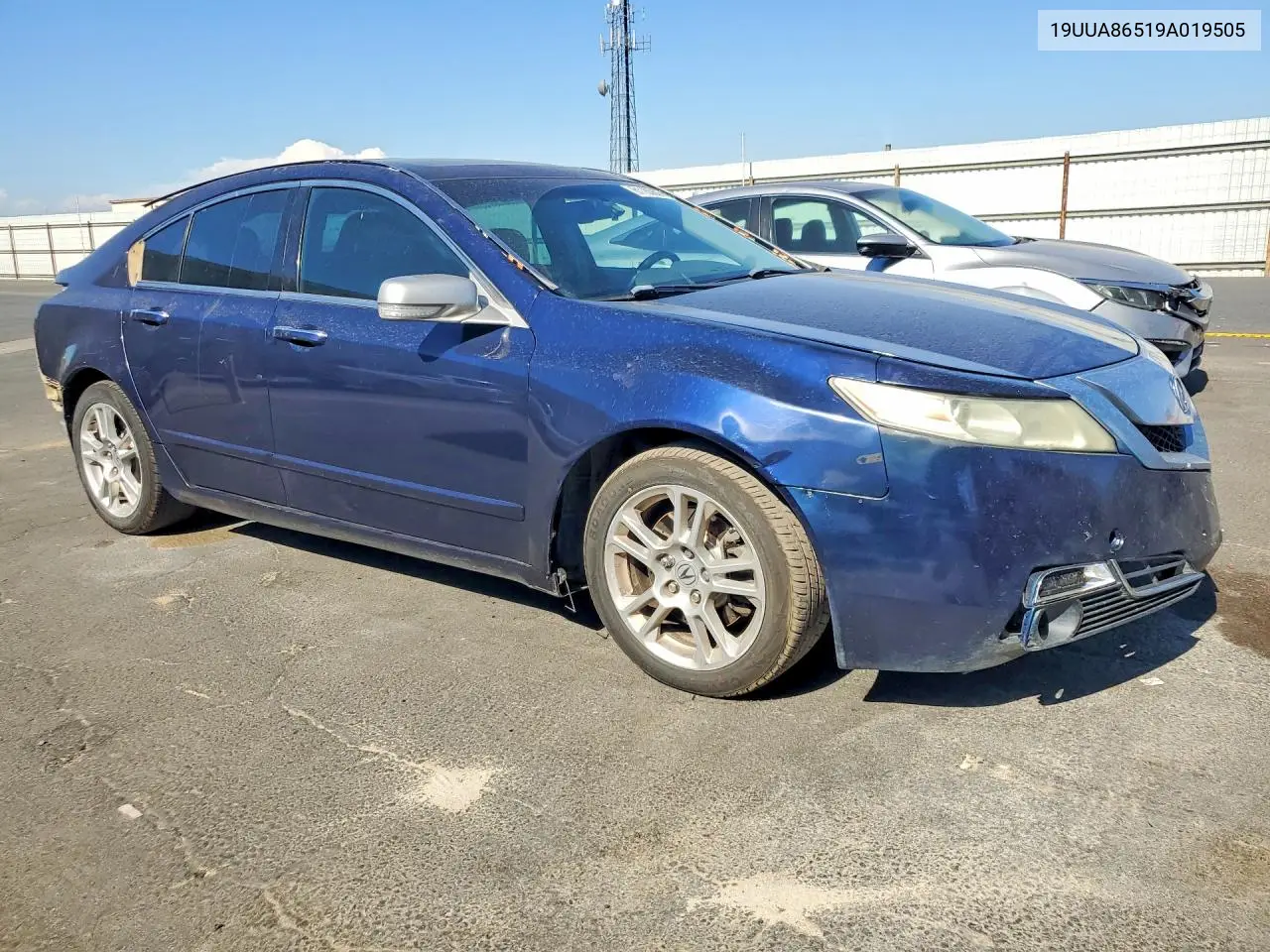 2009 Acura Tl VIN: 19UUA86519A019505 Lot: 61183606