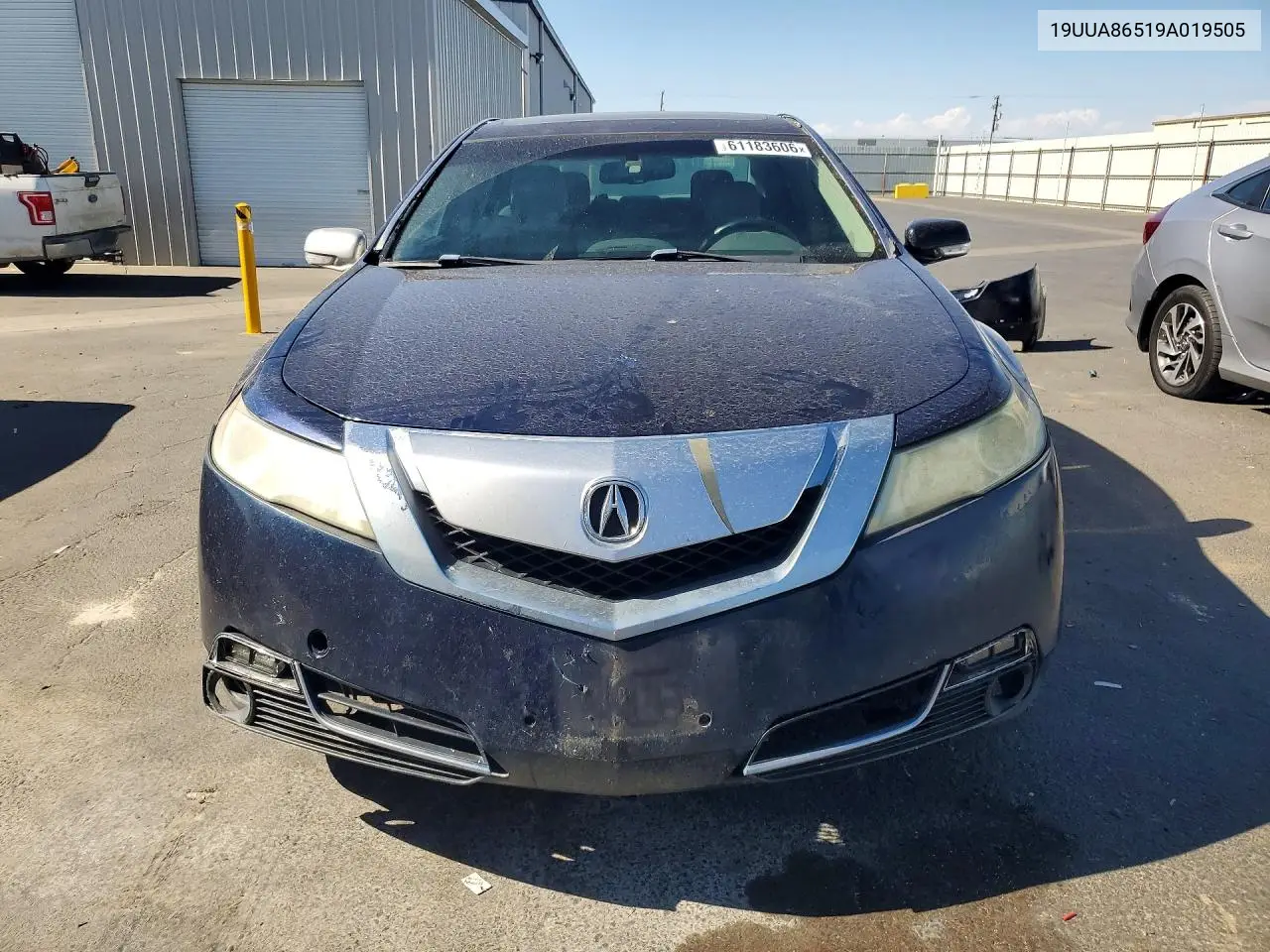 2009 Acura Tl VIN: 19UUA86519A019505 Lot: 61183606