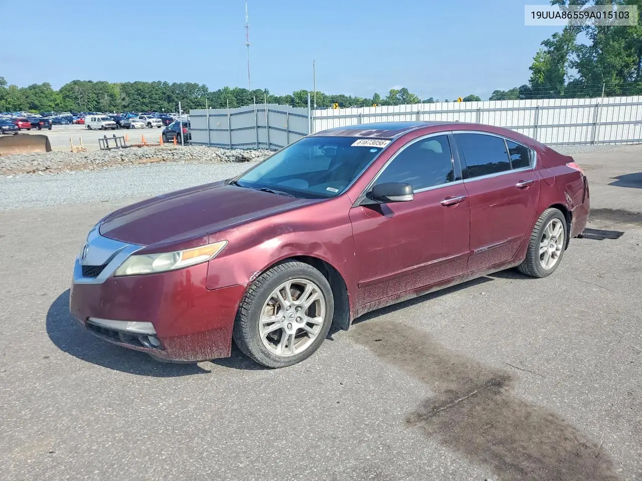 2009 Acura Tl VIN: 19UUA86559A015103 Lot: 61673056