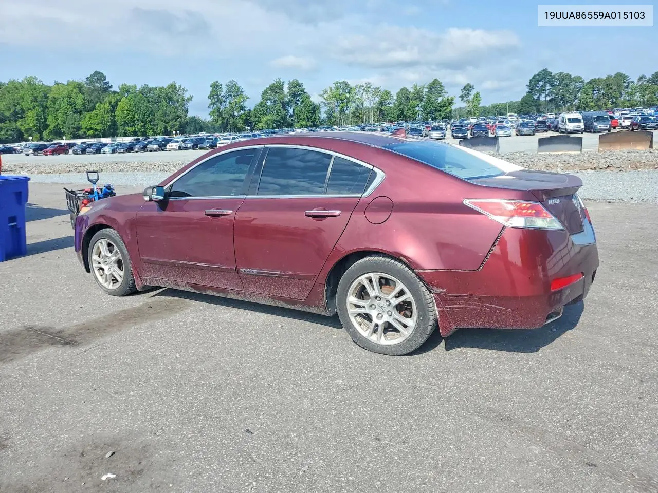 2009 Acura Tl VIN: 19UUA86559A015103 Lot: 61673056