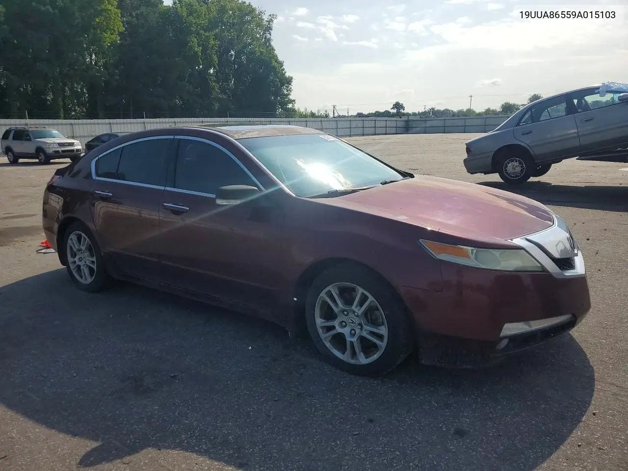 2009 Acura Tl VIN: 19UUA86559A015103 Lot: 61673056