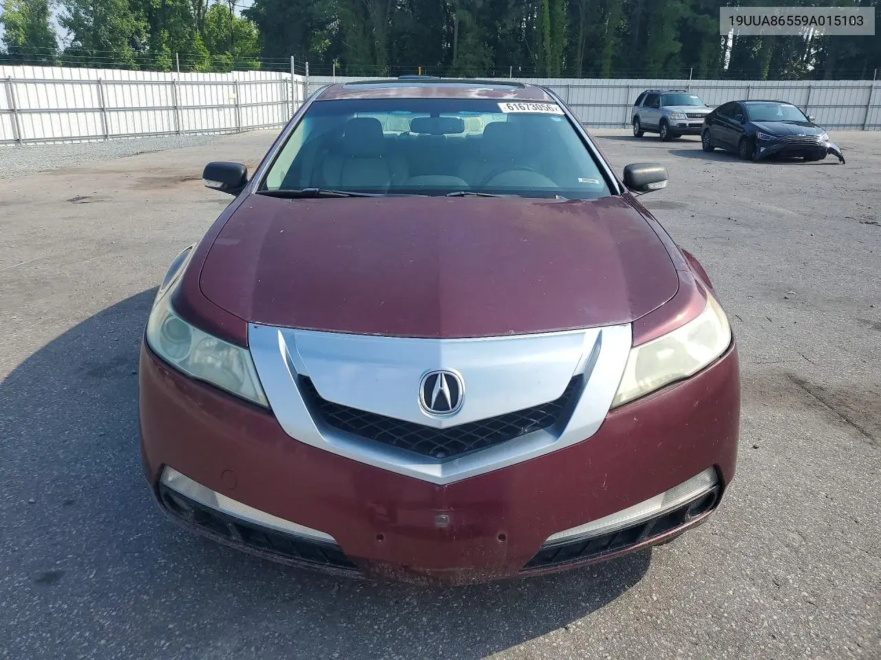 2009 Acura Tl VIN: 19UUA86559A015103 Lot: 61673056