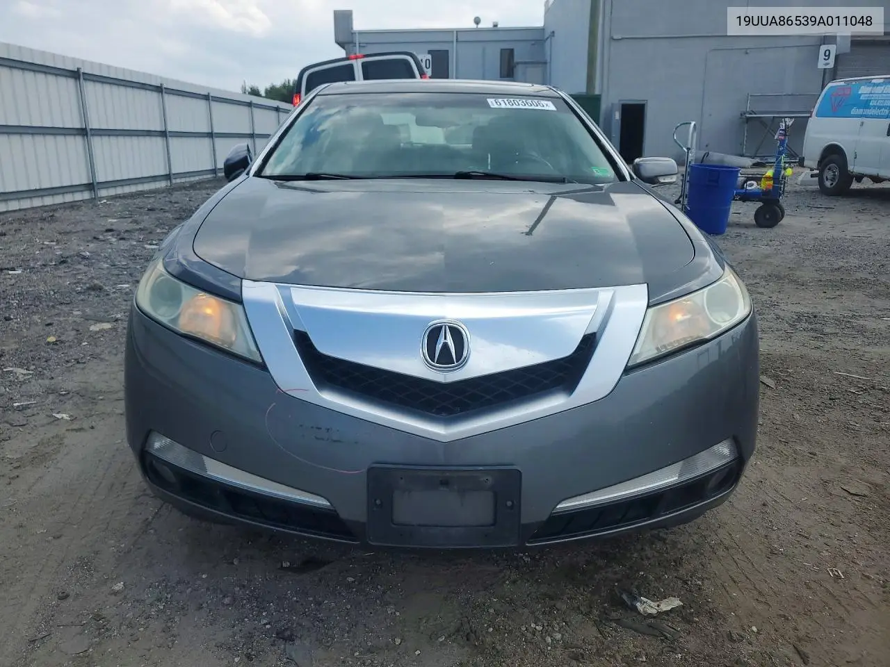 2009 Acura Tl VIN: 19UUA86539A011048 Lot: 61803606