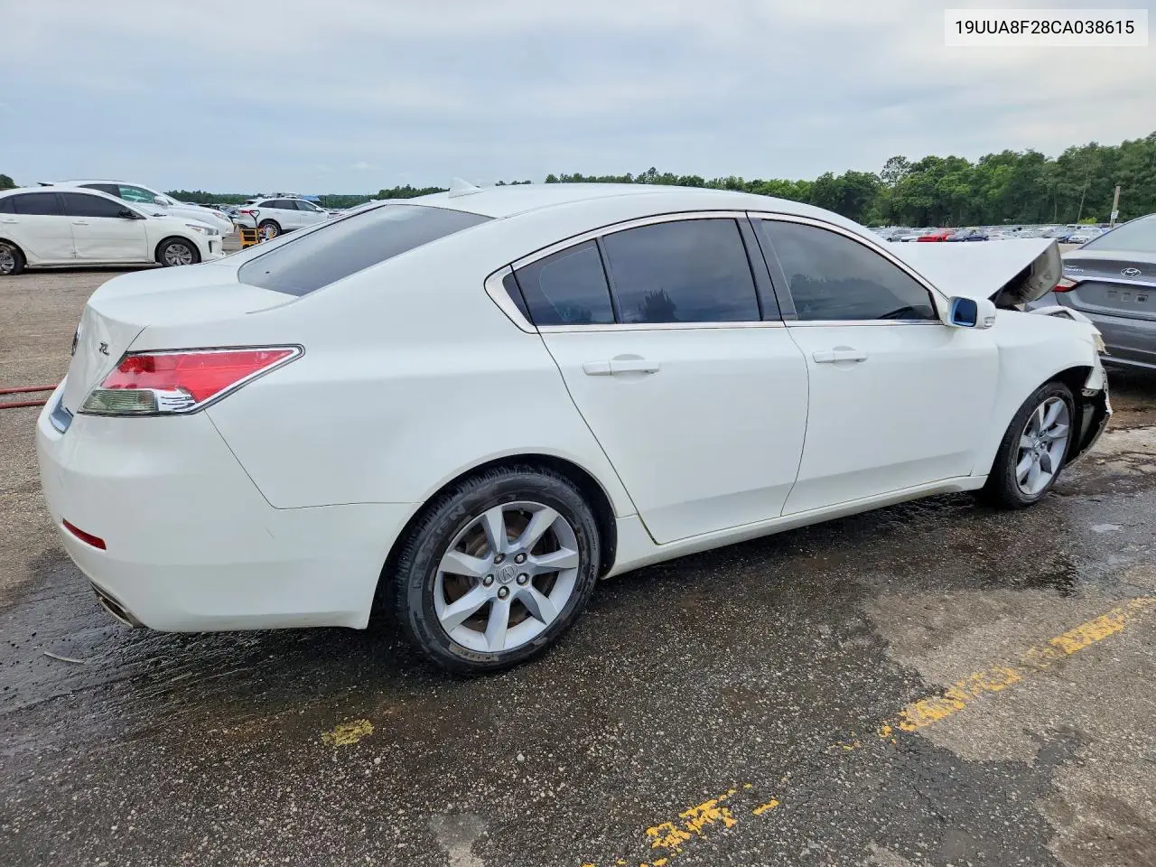 2012 Acura Tl VIN: 19UUA8F28CA038615 Lot: 56343016