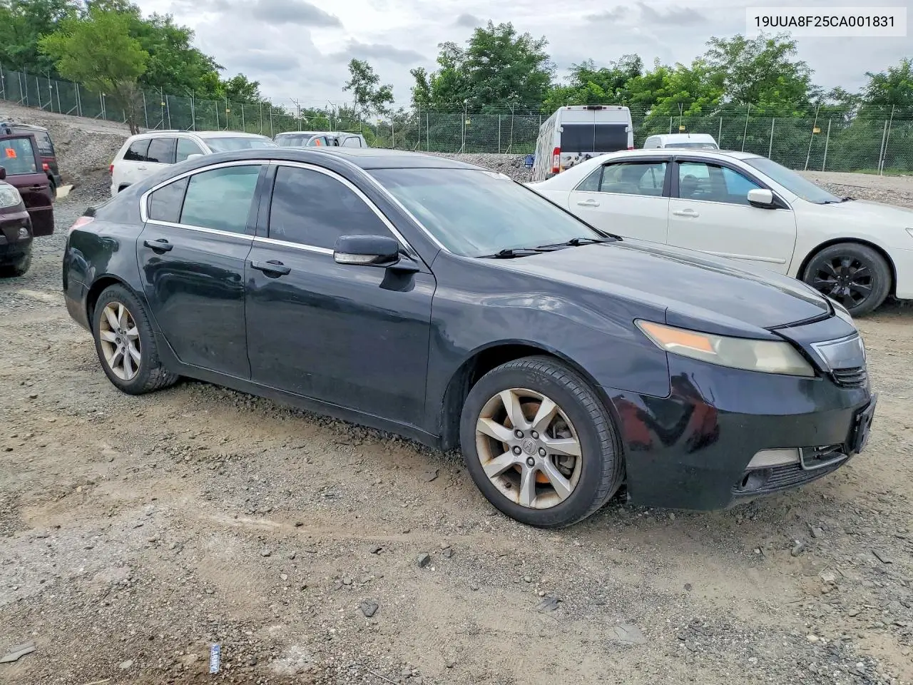 2012 Acura Tl VIN: 19UUA8F25CA001831 Lot: 61041126