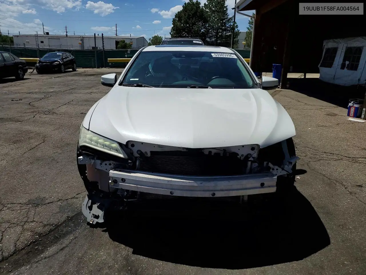 TLX