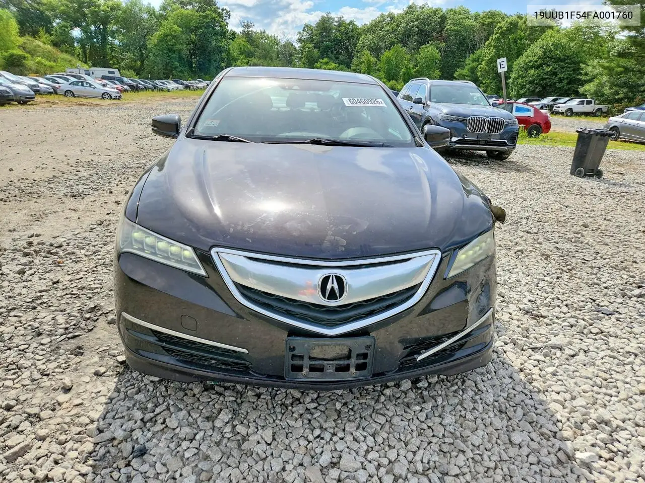 2015 Acura Tlx Tech VIN: 19UUB1F54FA001760 Lot: 60460926