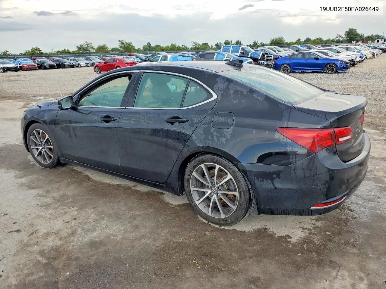 2015 Acura Tlx Tech VIN: 19UUB2F50FA026449 Lot: 61806726