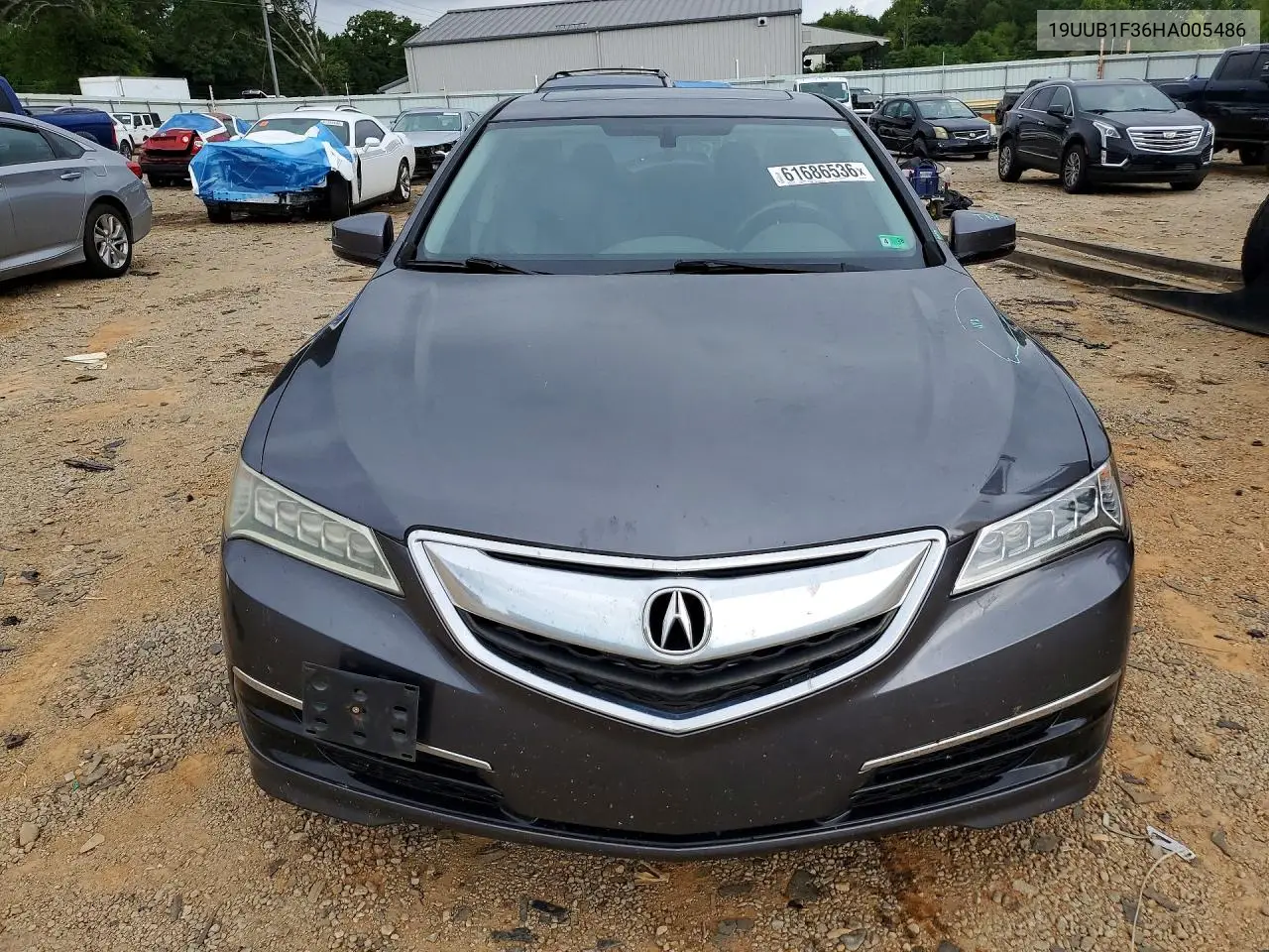 2017 Acura Tlx VIN: 19UUB1F36HA005486 Lot: 61686536