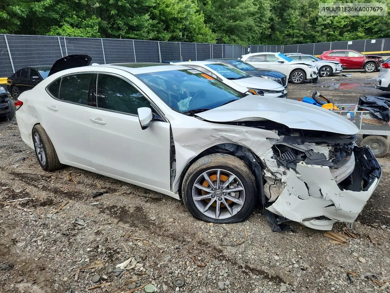 2019 Acura Tlx VIN: 19UUB1F36KA007679 Lot: 60500906