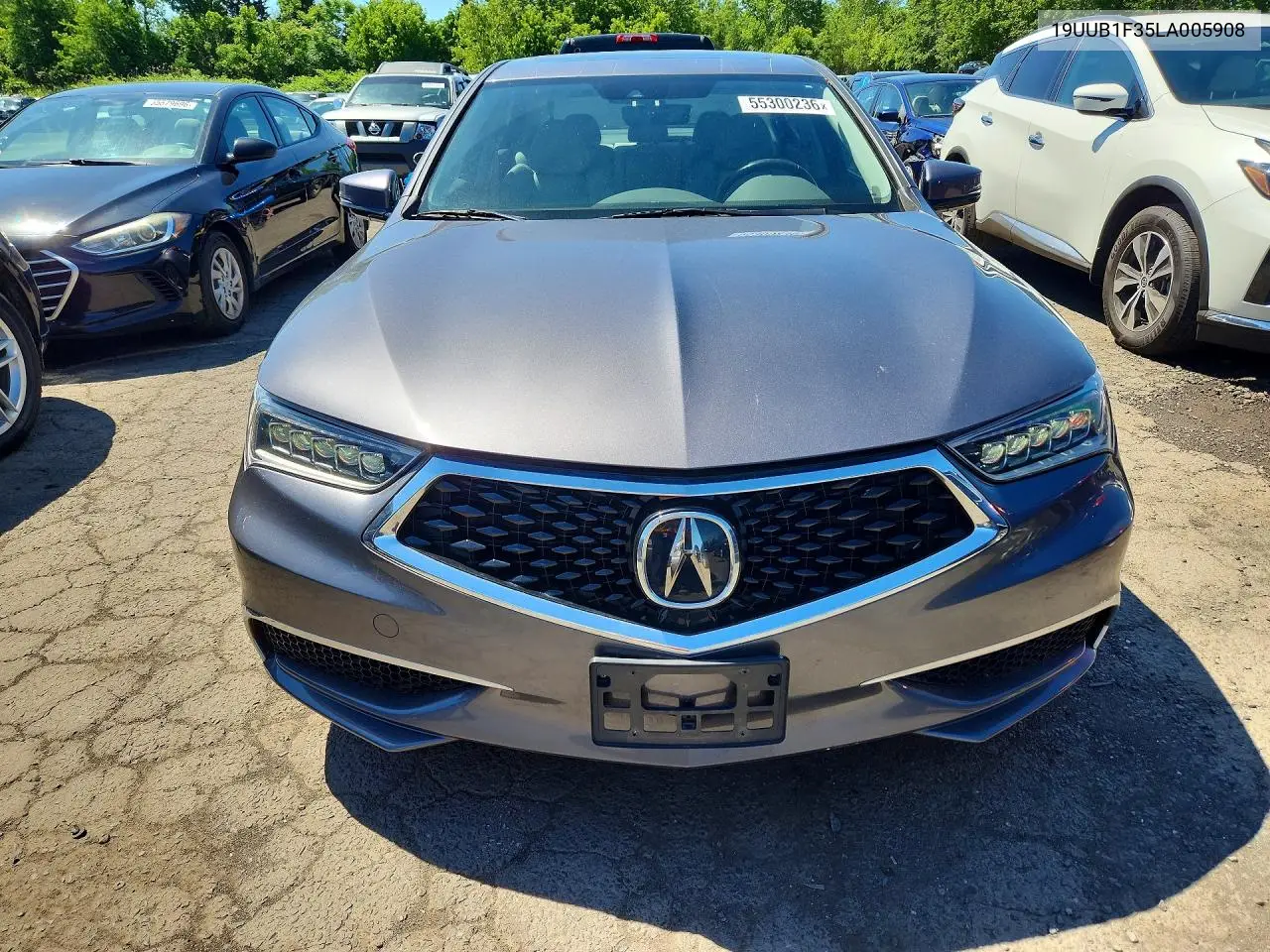 2020 Acura Tlx VIN: 19UUB1F35LA005908 Lot: 55300236