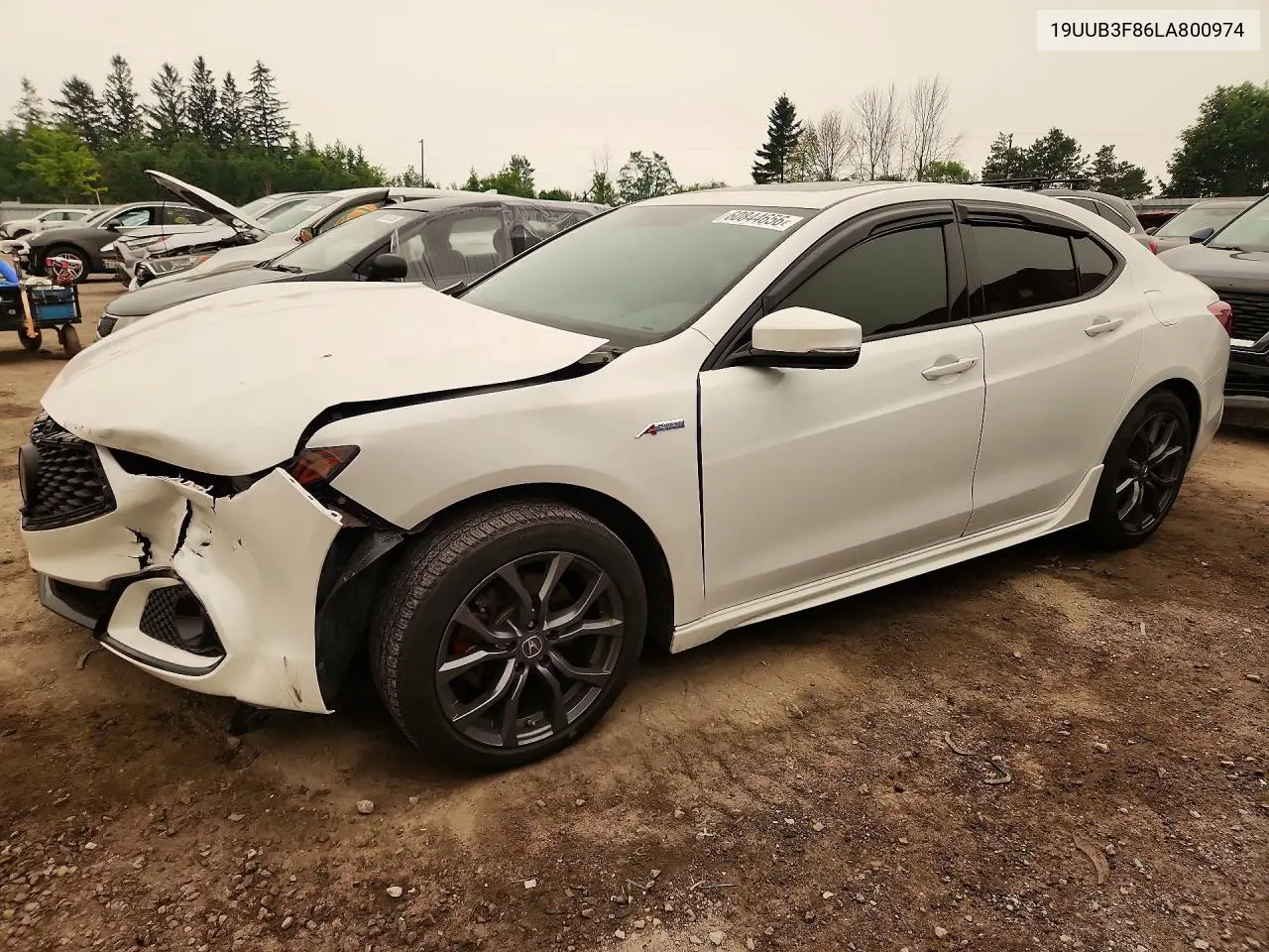 2020 Acura Tlx Advance VIN: 19UUB3F86LA800974 Lot: 60844656