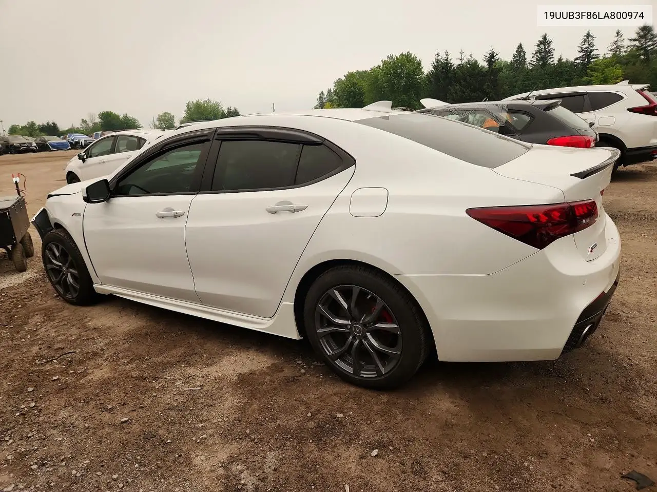 2020 Acura Tlx Advance VIN: 19UUB3F86LA800974 Lot: 60844656
