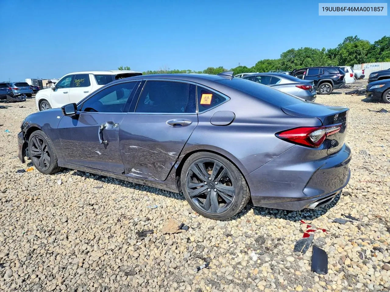 2021 Acura Tlx Technology VIN: 19UUB6F46MA001857 Lot: 59880106