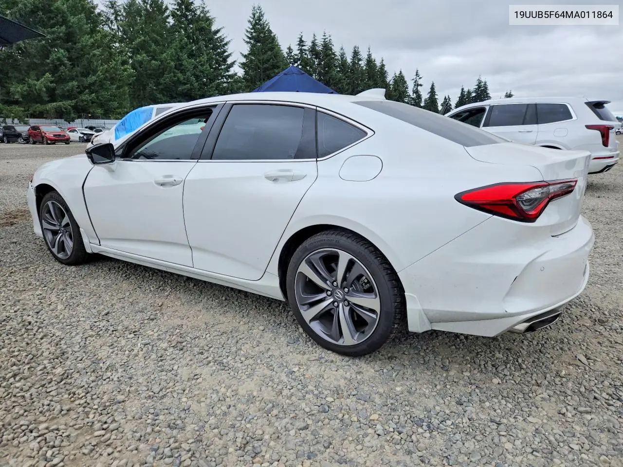 2021 Acura Tlx Advance VIN: 19UUB5F64MA011864 Lot: 60137226