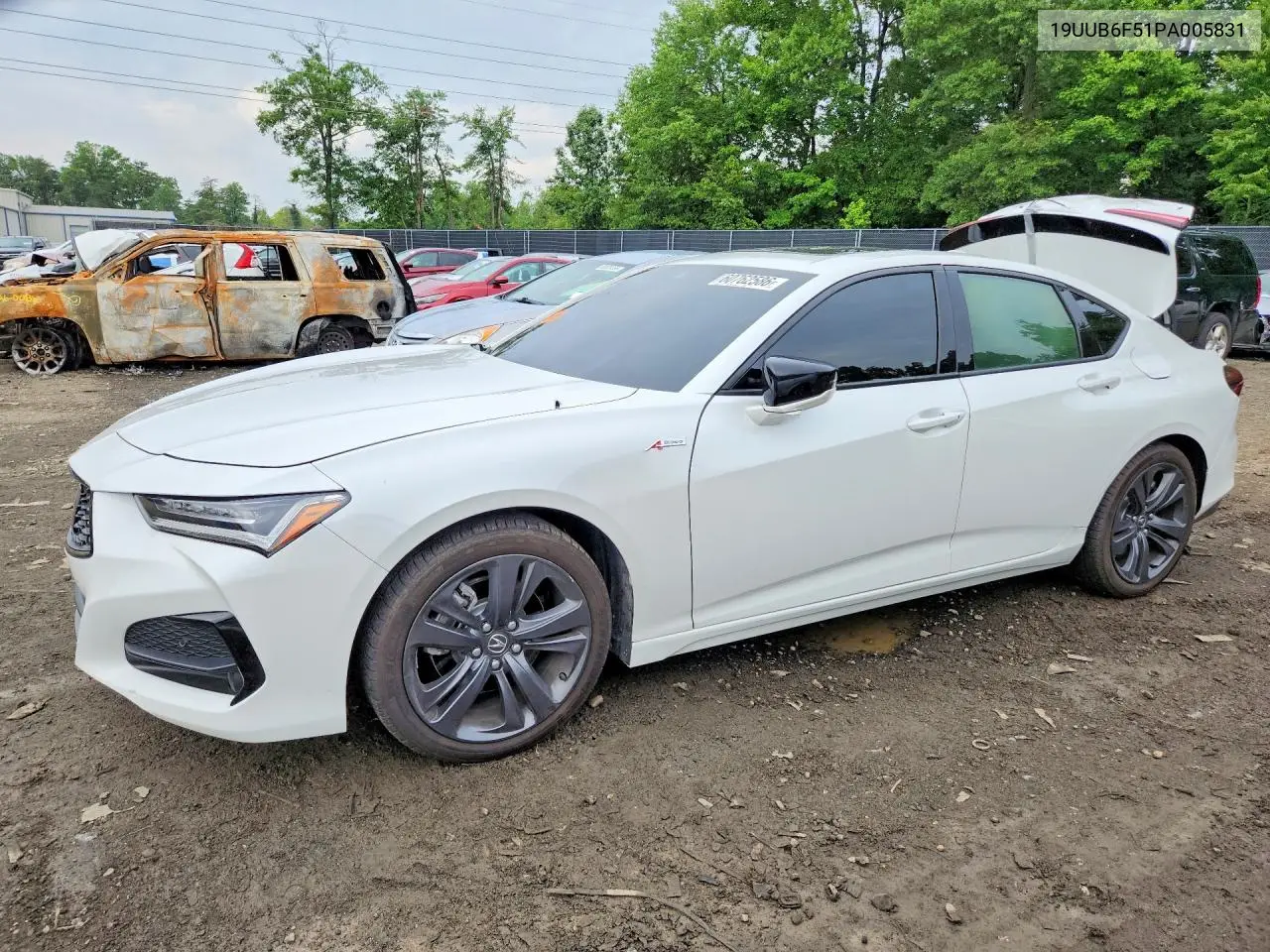 2023 Acura Tlx A-Spec VIN: 19UUB6F51PA005831 Lot: 60762586