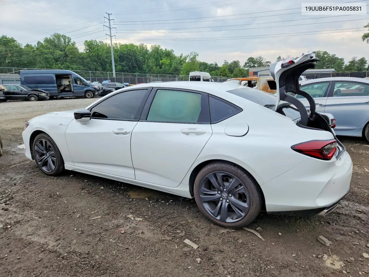 2023 Acura Tlx A-Spec VIN: 19UUB6F51PA005831 Lot: 60762586