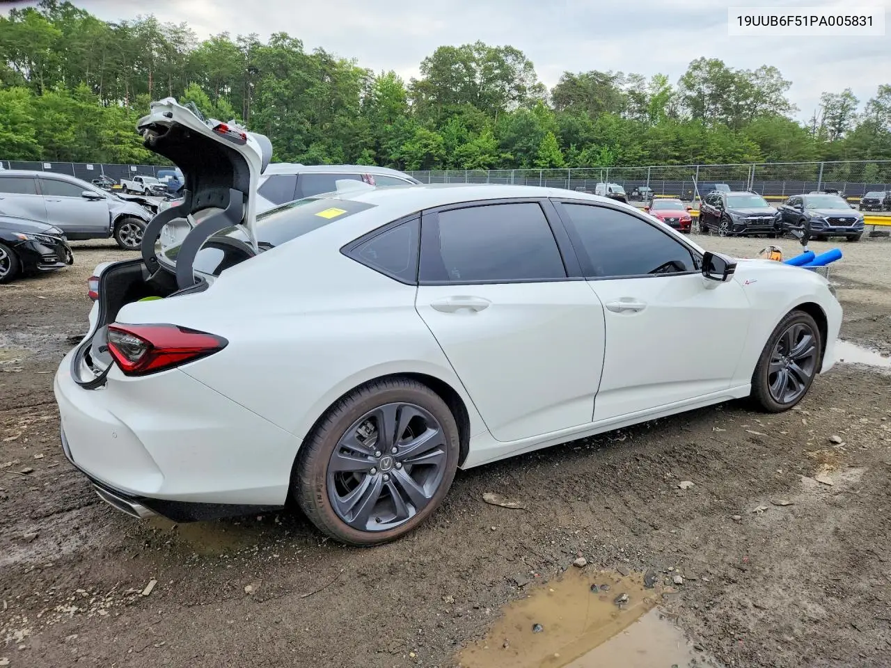 2023 Acura Tlx A-Spec VIN: 19UUB6F51PA005831 Lot: 60762586