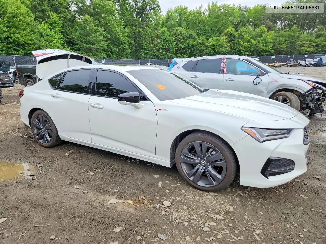 2023 Acura Tlx A-Spec VIN: 19UUB6F51PA005831 Lot: 60762586