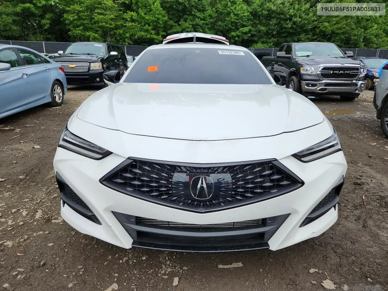 2023 Acura Tlx A-Spec VIN: 19UUB6F51PA005831 Lot: 60762586