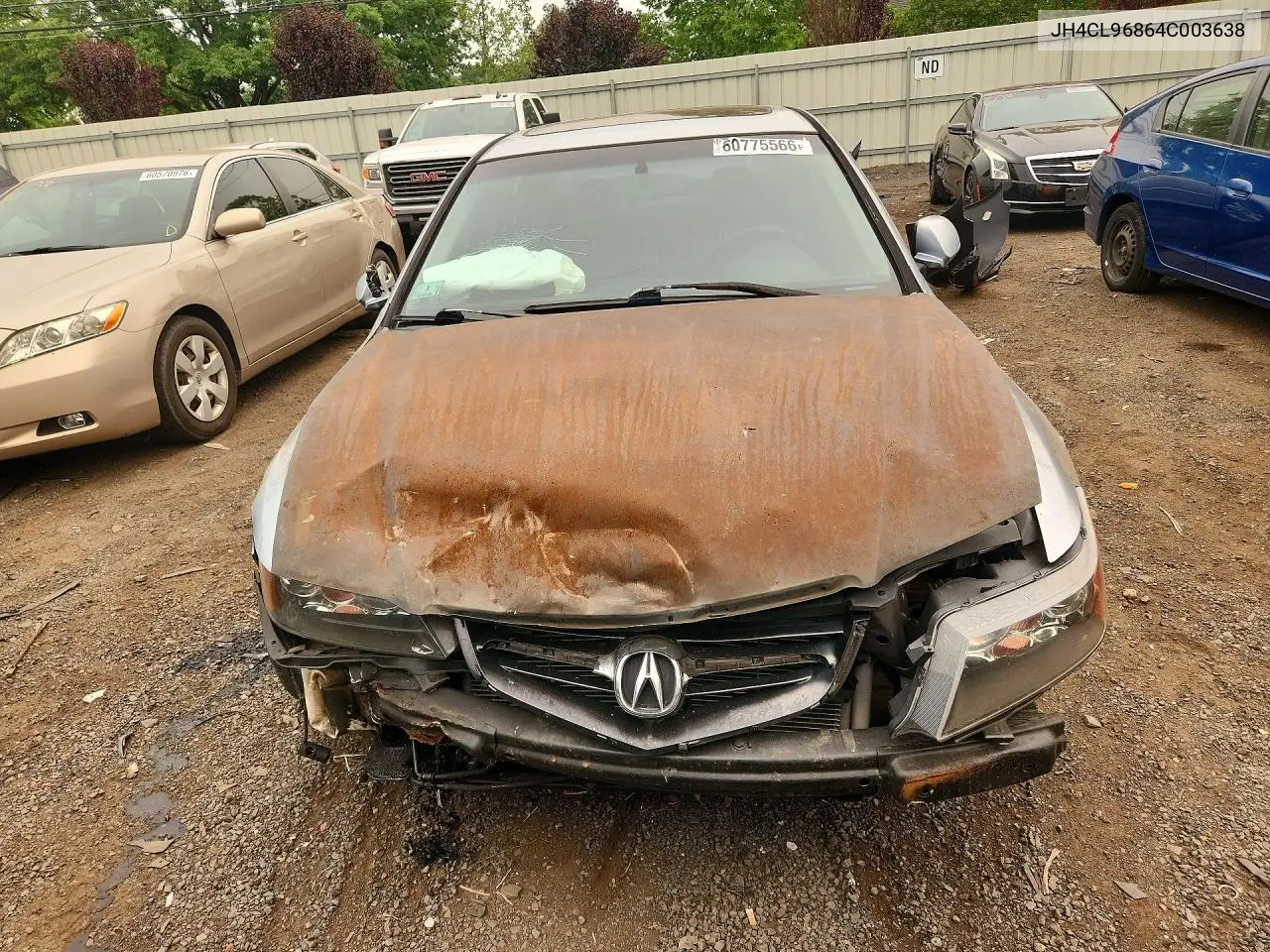 2004 Acura Tsx VIN: JH4CL96864C003638 Lot: 60775566