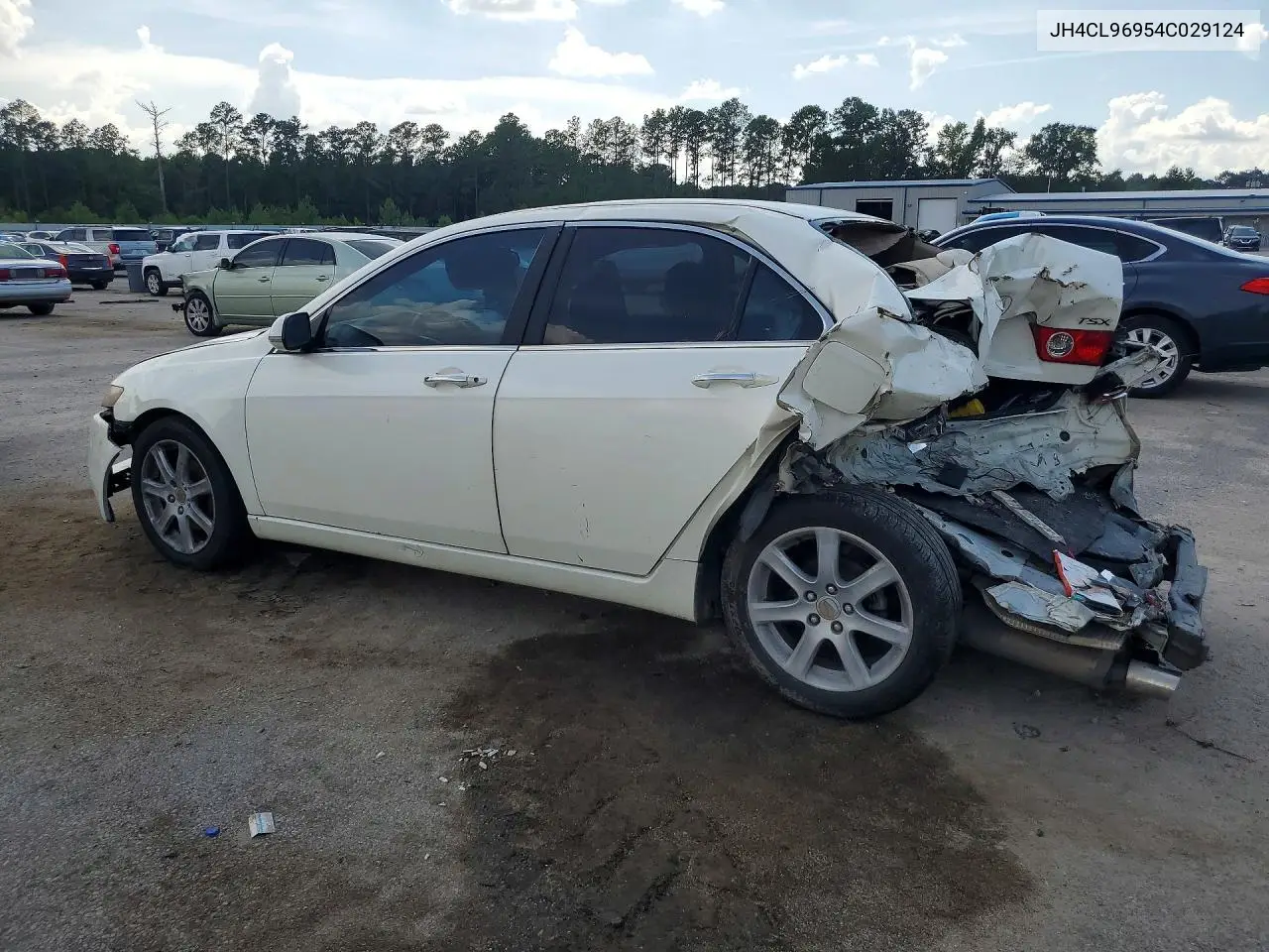 2004 Acura Tsx VIN: JH4CL96954C029124 Lot: 61186806
