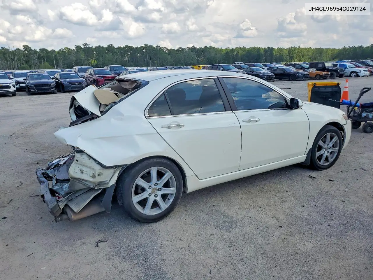 2004 Acura Tsx VIN: JH4CL96954C029124 Lot: 61186806