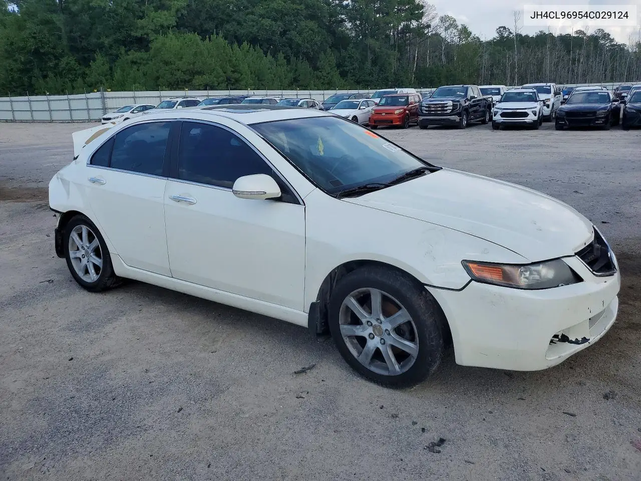 2004 Acura Tsx VIN: JH4CL96954C029124 Lot: 61186806