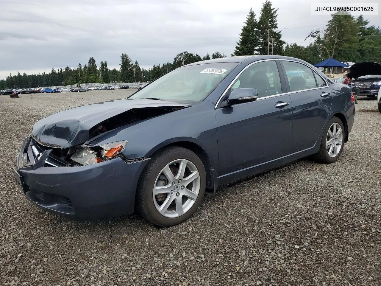 2005 Acura Tsx VIN: JH4CL96985C001626 Lot: 56452876