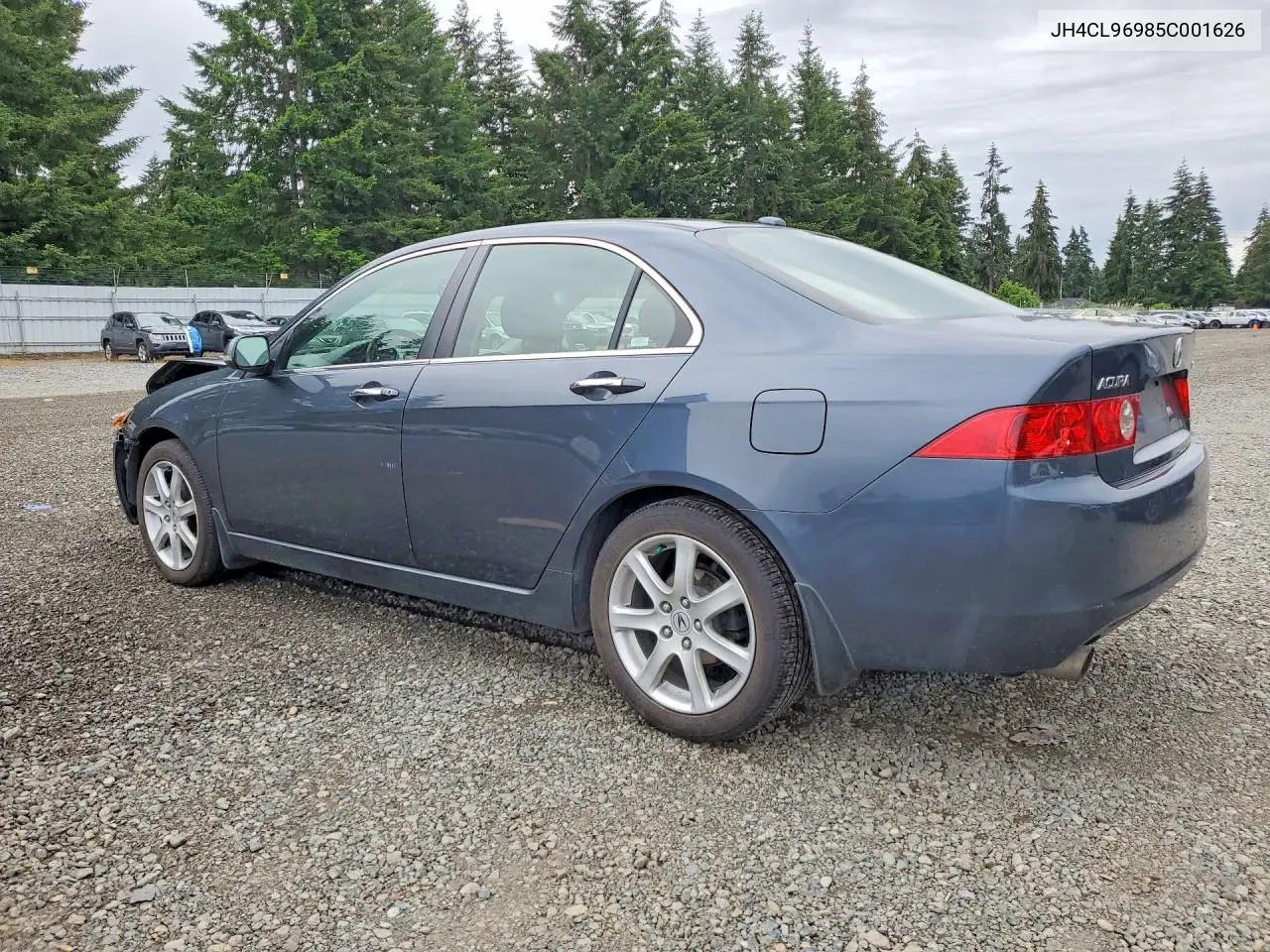 2005 Acura Tsx VIN: JH4CL96985C001626 Lot: 56452876