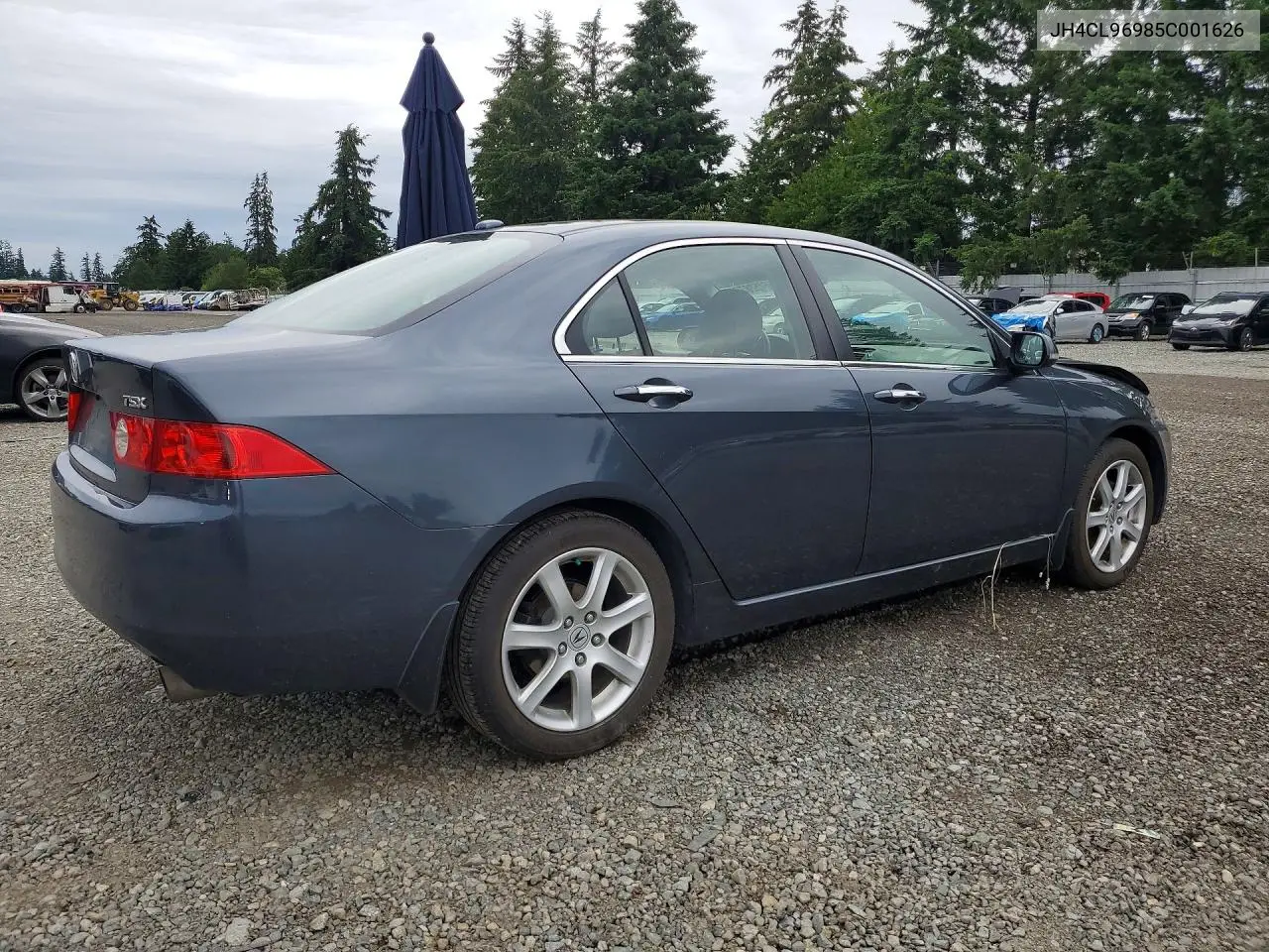 2005 Acura Tsx VIN: JH4CL96985C001626 Lot: 56452876