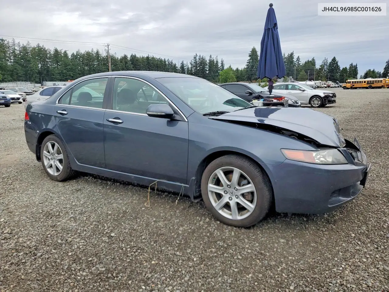 2005 Acura Tsx VIN: JH4CL96985C001626 Lot: 56452876