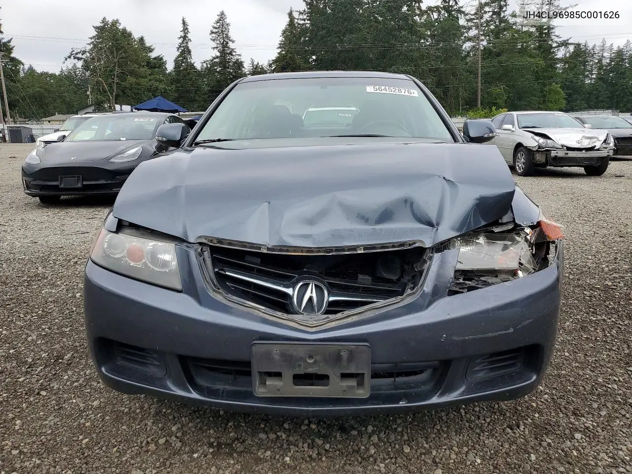 2005 Acura Tsx VIN: JH4CL96985C001626 Lot: 56452876