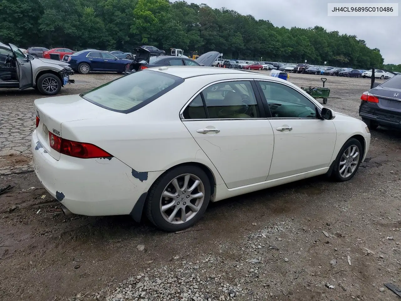 2005 Acura Tsx VIN: JH4CL96895C010486 Lot: 57414396