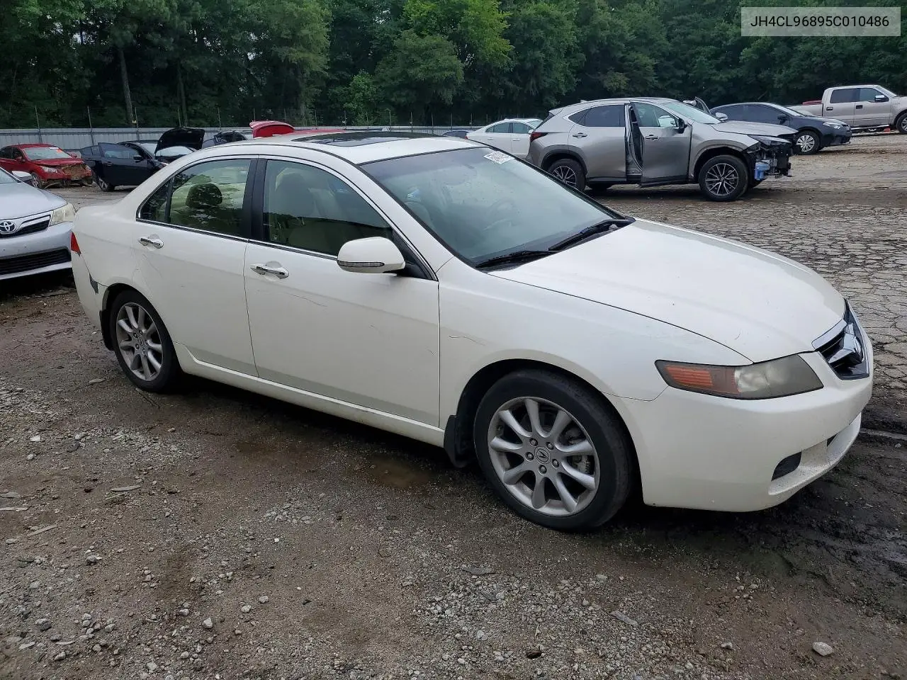 2005 Acura Tsx VIN: JH4CL96895C010486 Lot: 57414396