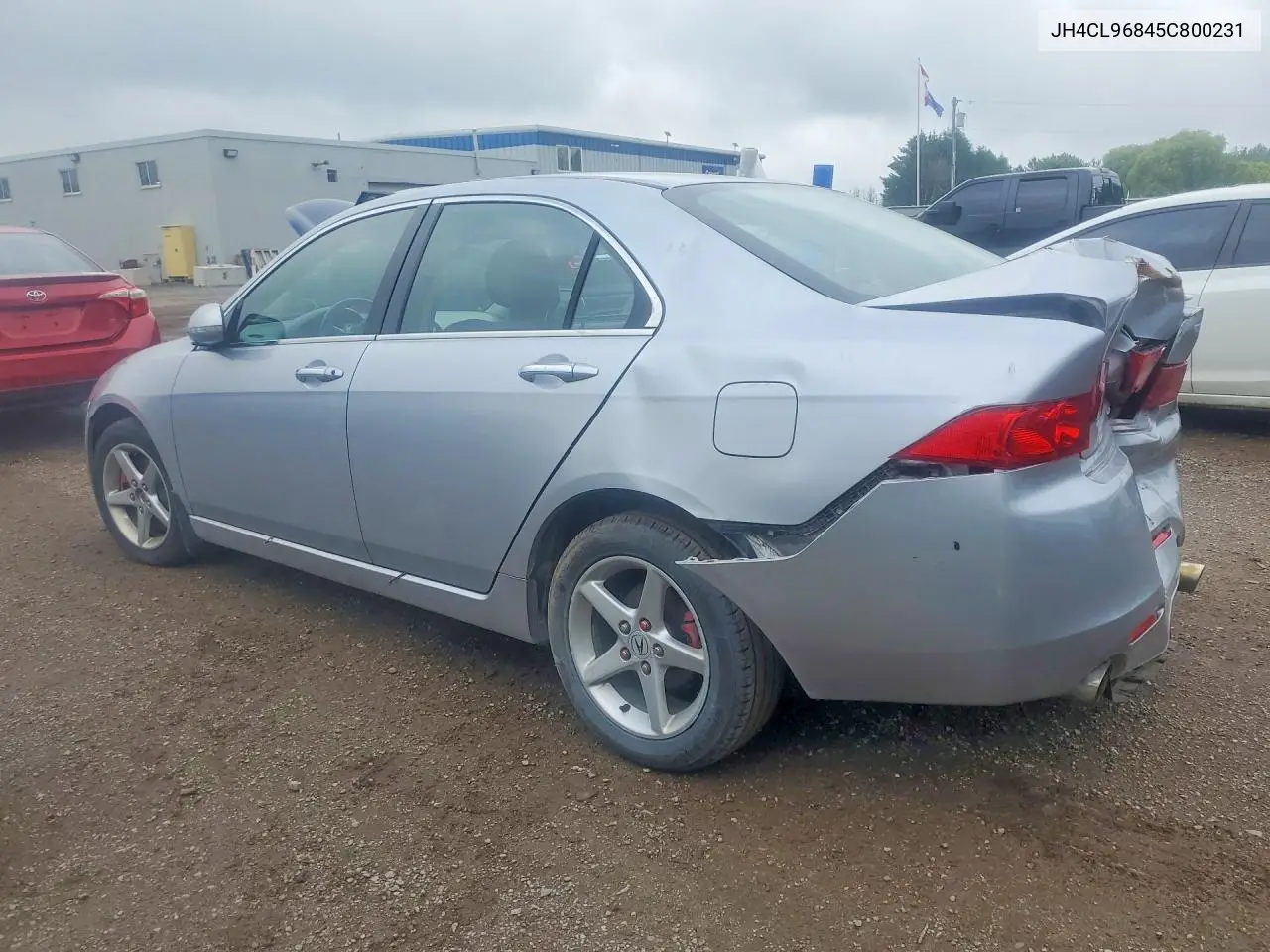 2005 Acura Tsx VIN: JH4CL96845C800231 Lot: 58943136