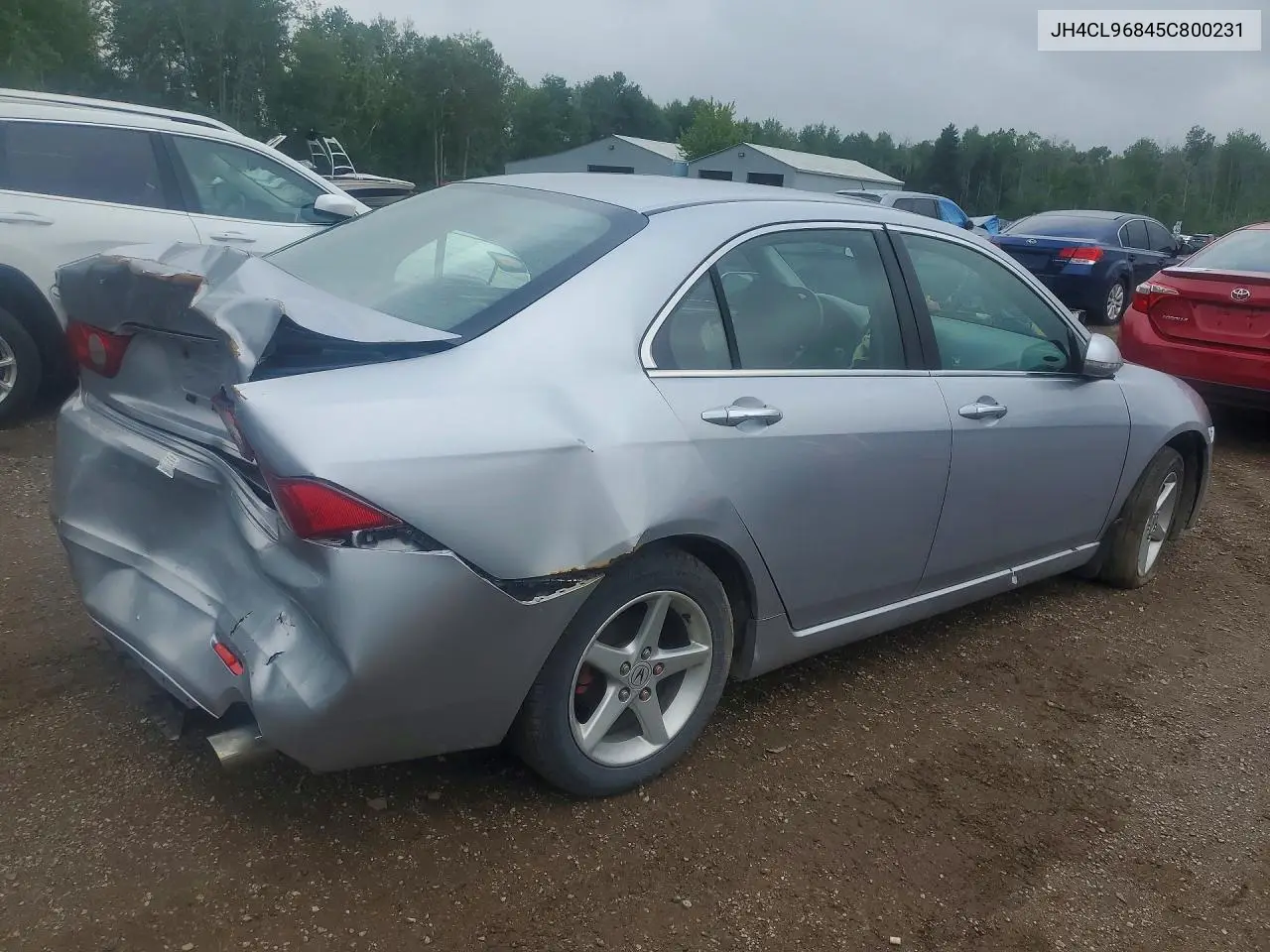 2005 Acura Tsx VIN: JH4CL96845C800231 Lot: 58943136
