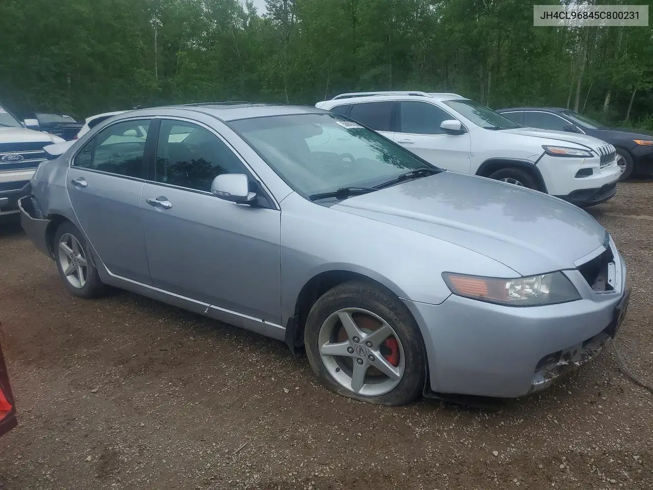 2005 Acura Tsx VIN: JH4CL96845C800231 Lot: 58943136