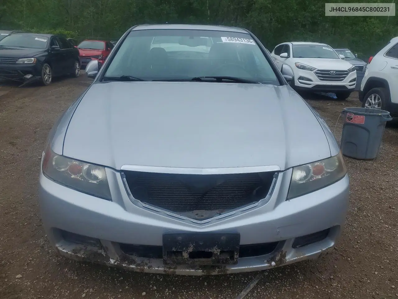 2005 Acura Tsx VIN: JH4CL96845C800231 Lot: 58943136