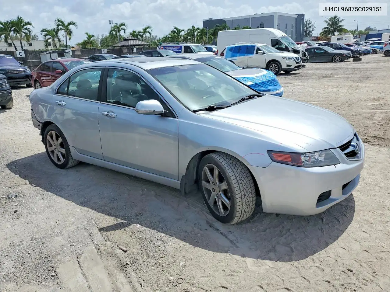 2005 Acura Tsx VIN: JH4CL96875C029151 Lot: 60063576