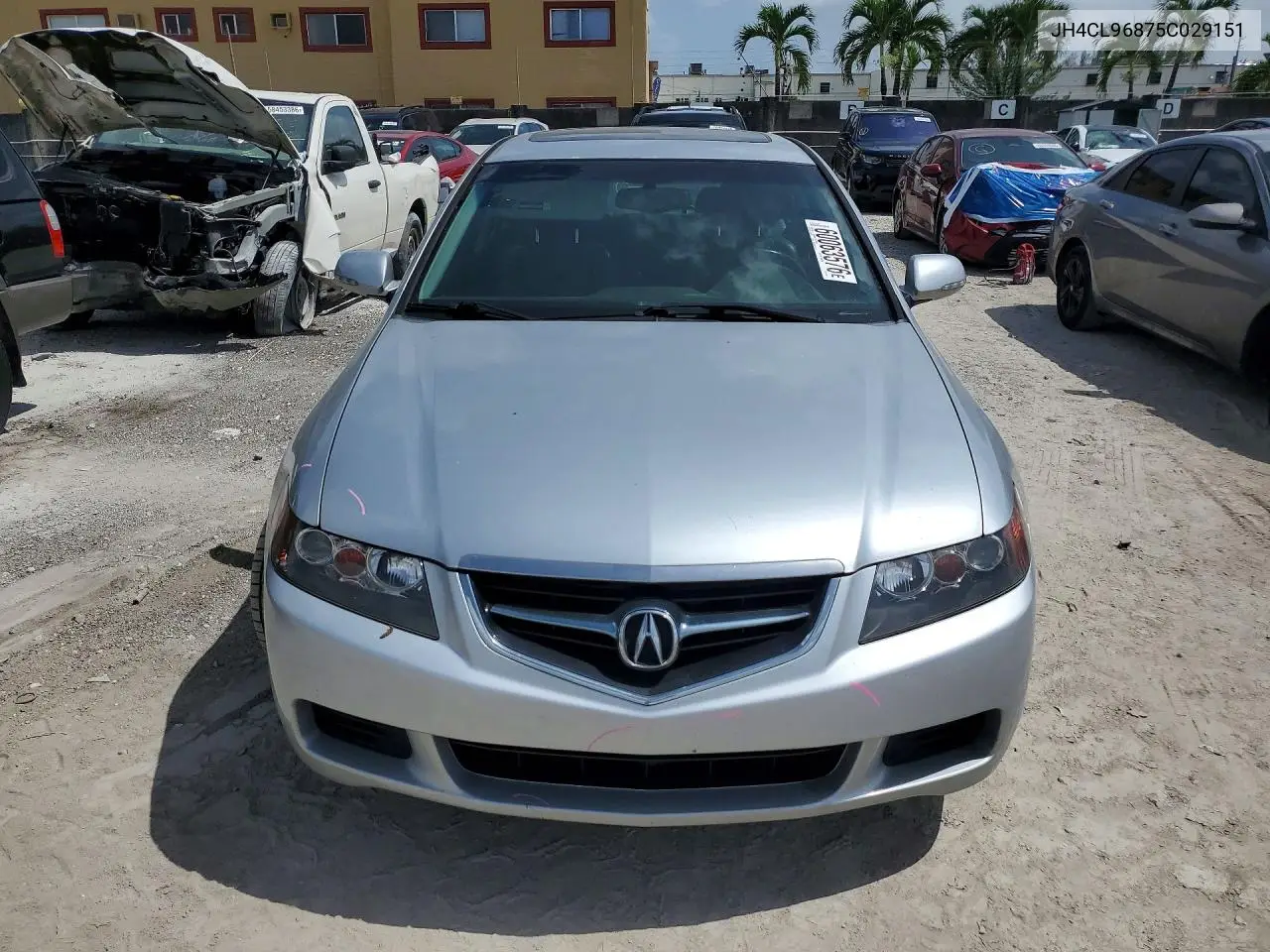 2005 Acura Tsx VIN: JH4CL96875C029151 Lot: 60063576