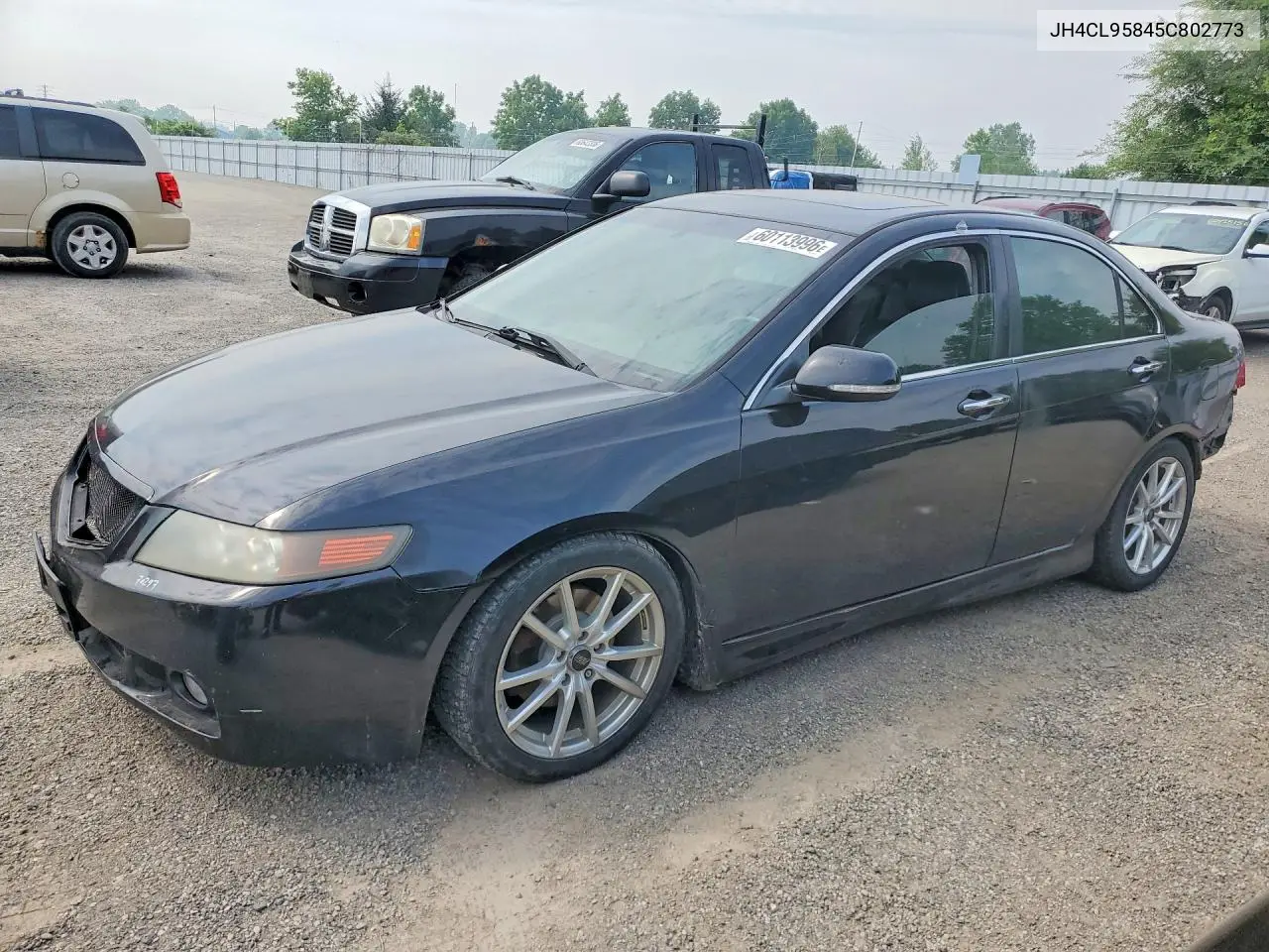 2005 Acura Tsx VIN: JH4CL95845C802773 Lot: 60113996