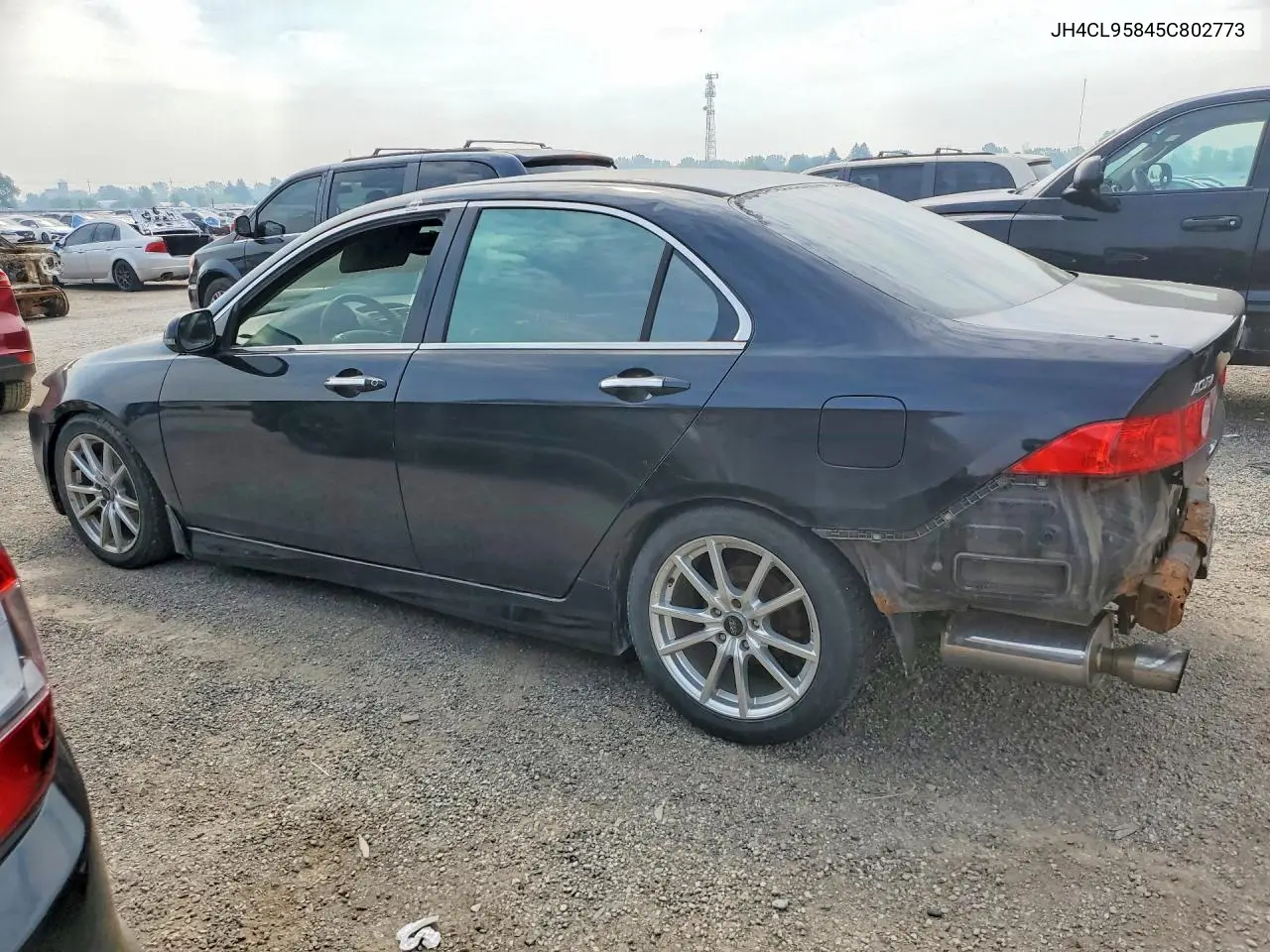 2005 Acura Tsx VIN: JH4CL95845C802773 Lot: 60113996