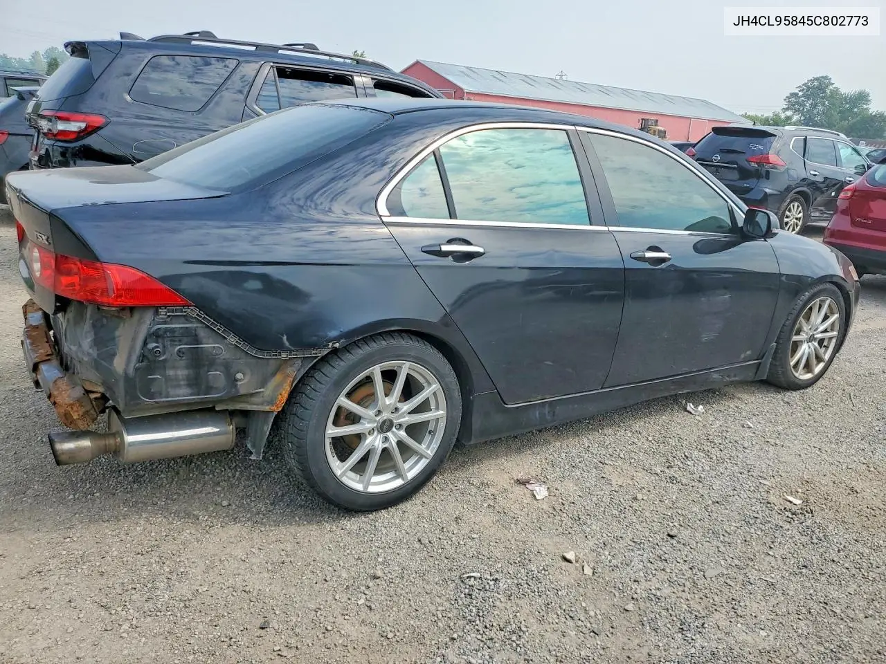 2005 Acura Tsx VIN: JH4CL95845C802773 Lot: 60113996