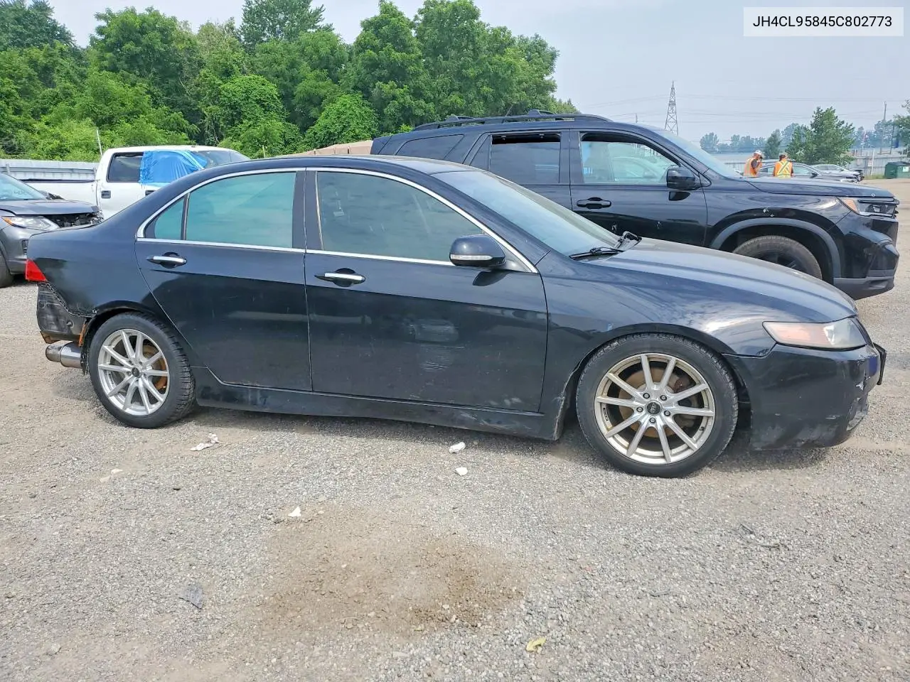 2005 Acura Tsx VIN: JH4CL95845C802773 Lot: 60113996