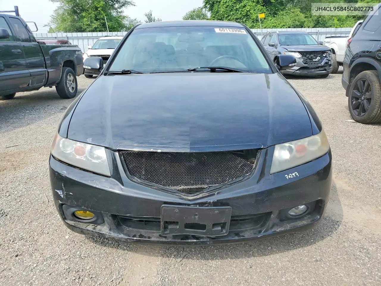2005 Acura Tsx VIN: JH4CL95845C802773 Lot: 60113996