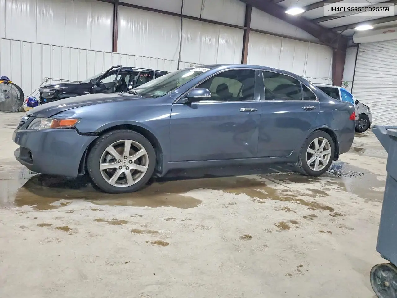 2005 Acura Tsx VIN: JH4CL95955C025559 Lot: 60234196