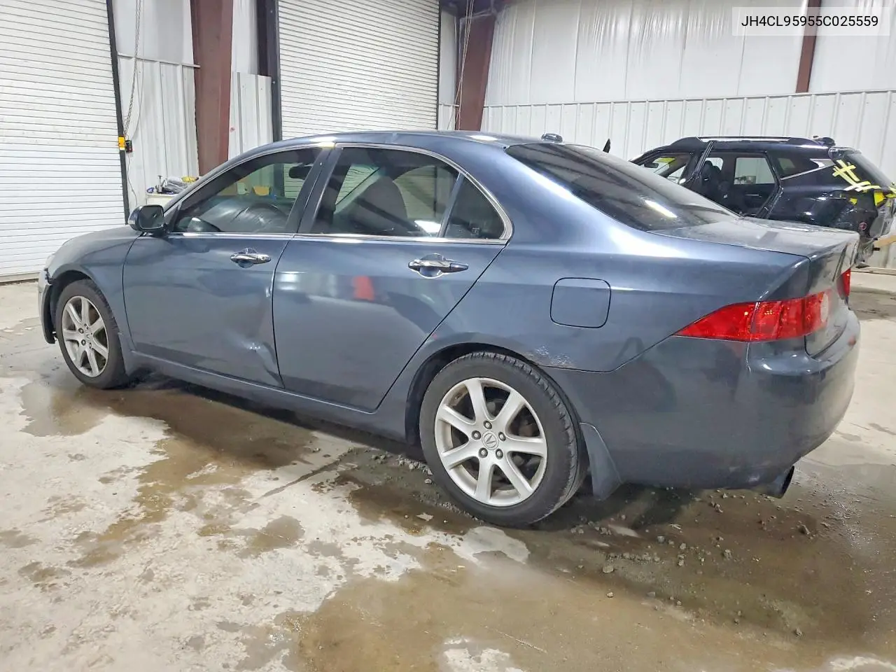 2005 Acura Tsx VIN: JH4CL95955C025559 Lot: 60234196
